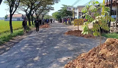 Sindir Gubernur Jateng, Warga Blora Tanam Pohon Pisang di Jalan Provinsi yang Rusak Parah
