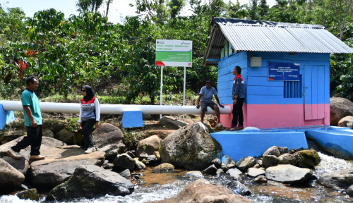 Desa Energi Berdikari Pertamina Dorong Produksi Pangan 21.357 Ton dan Peluang Usaha Desa
