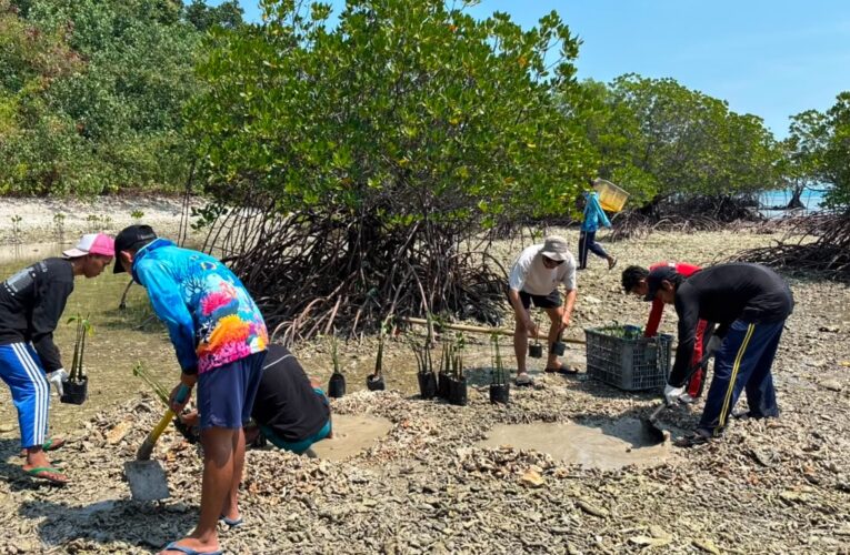Digagas PLN UID Jakarta Raya, Program Konservasi Pulau Sabira Raih Predikat Platinum di Indonesia Green Awards 2026